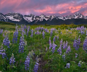 my business images