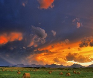 my business images